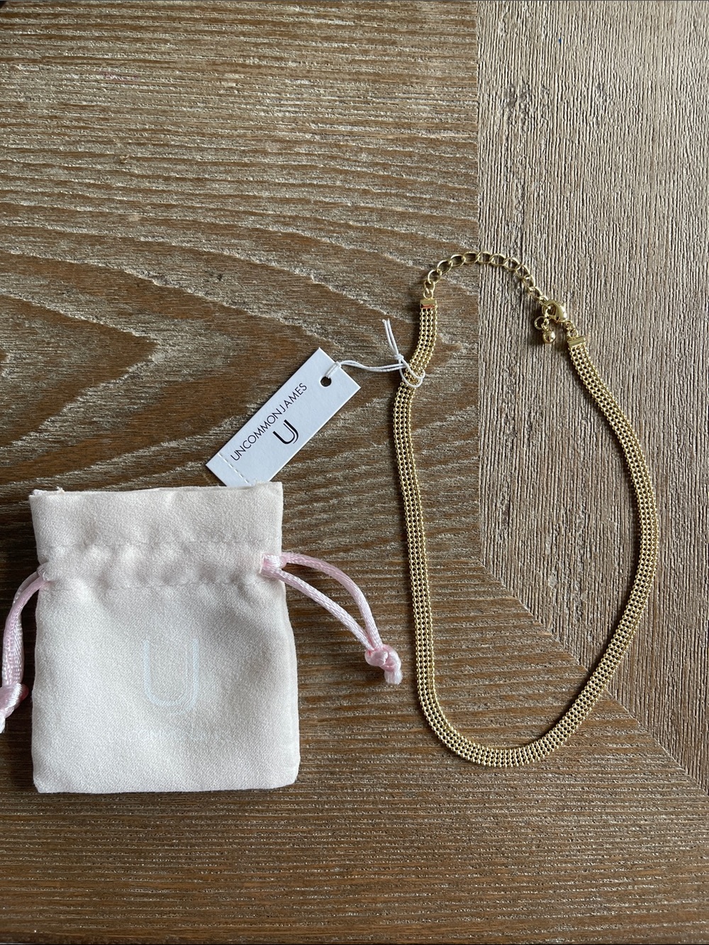 Uncommon James Gold Mesh Necklace with Pouch